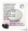 Testosterone 58-22-0 Testoviron Raw Steroid Powders Raw Testosterone Powder